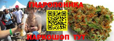 кокс Обь
